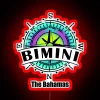 Add vibrant island charm to your space with colorful Bimini.