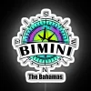 Radiant Bimini Bahamas Neon Sign Adds Vibrant Island Style Accents