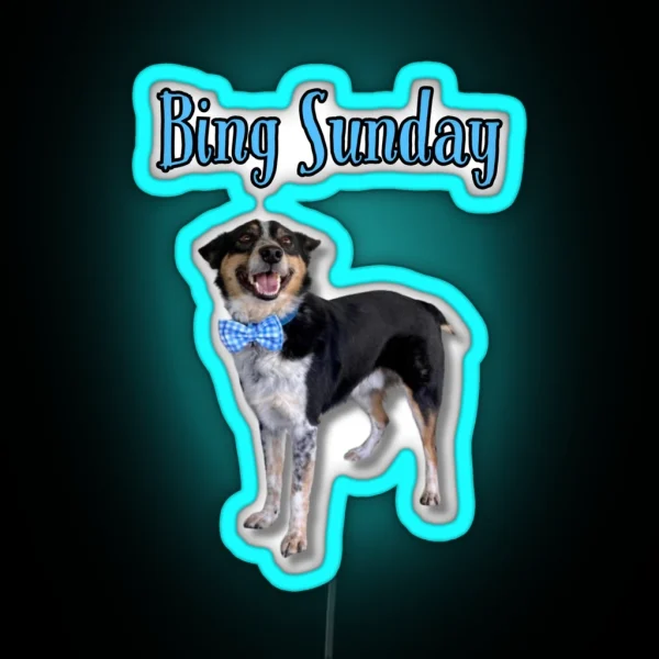 Bing Sunday RGB Neon Sign