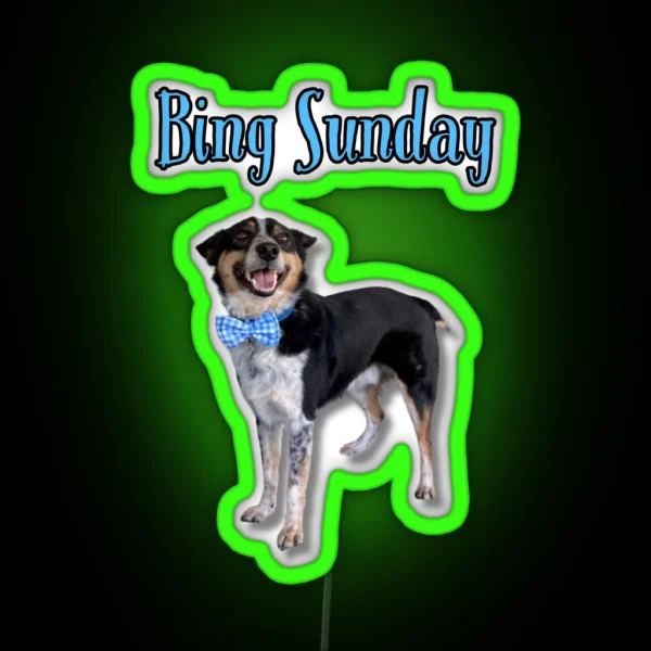 Bing Sunday RGB Neon Sign