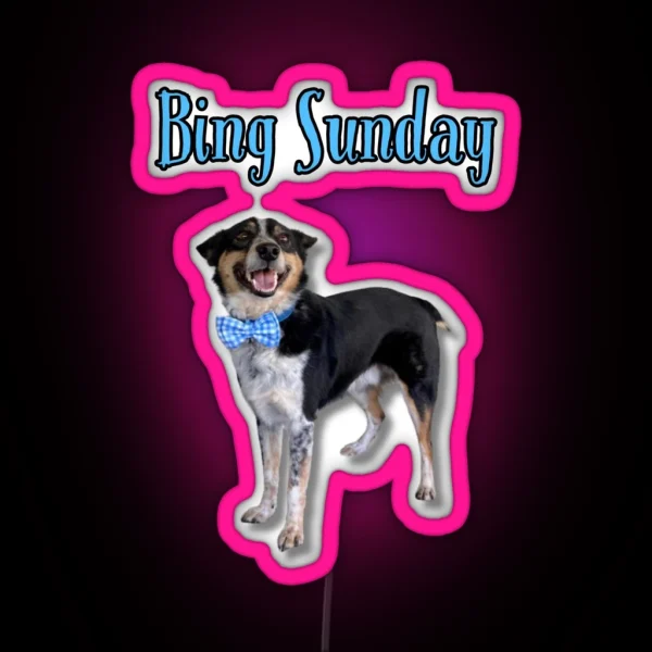 Bing Sunday RGB Neon Sign