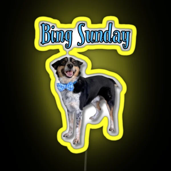 Bing Sunday RGB Neon Sign