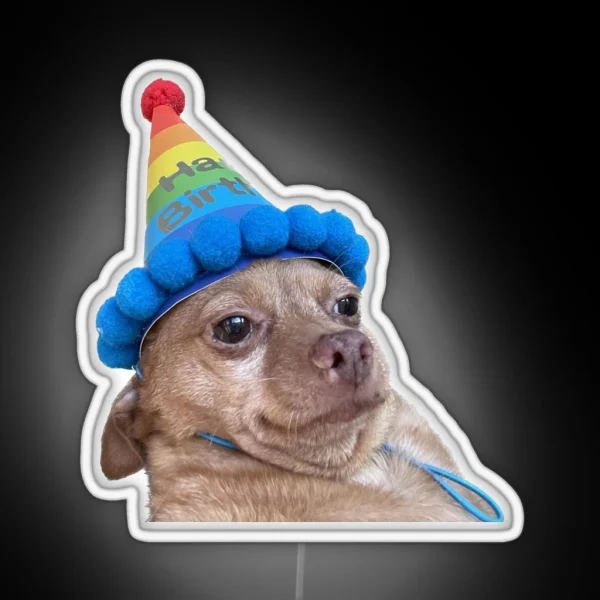 Birthday Mouse RGB Neon Sign