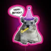 Birthday Celebration Rock Hyrax Party Decorations with RGB Neon Sign