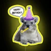 Birthday Party Decorations Neon Rock Hyrax BDay RGB LED Sign