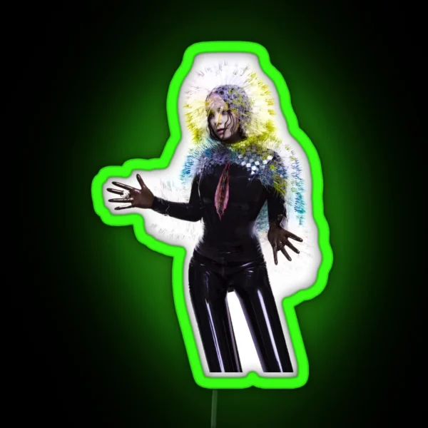 Bjork RGB Neon Sign