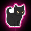 Minimalist black cat design in vibrant colorful RGB LED display