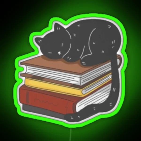 Black Cat On Magic Books RGB Neon Sign