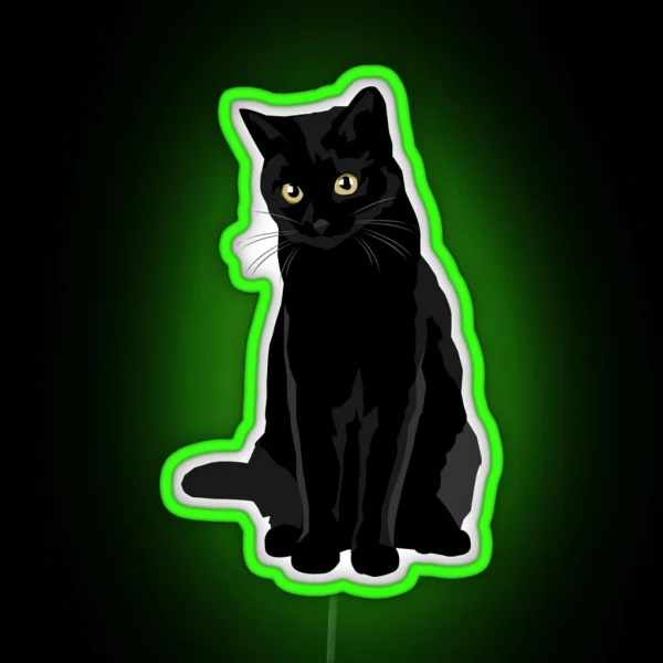 Black Cat RGB Neon Sign