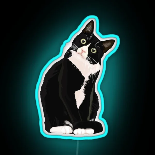 Black Cat RGB Neon Sign