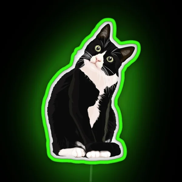Black Cat RGB Neon Sign