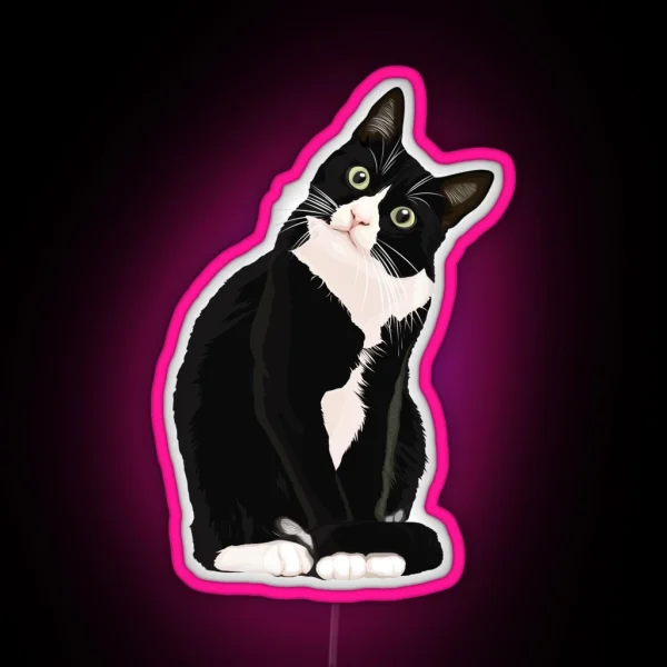 Black Cat RGB Neon Sign