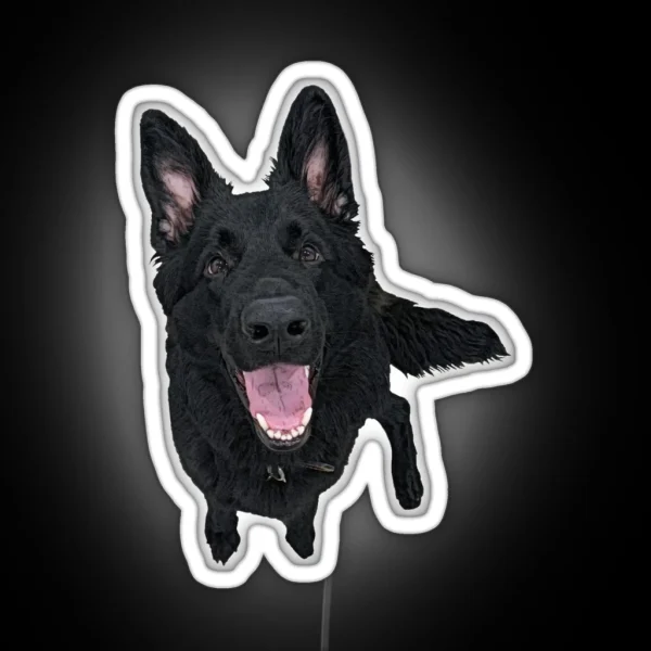 Black German Shepherd Smiling RGB Neon Sign