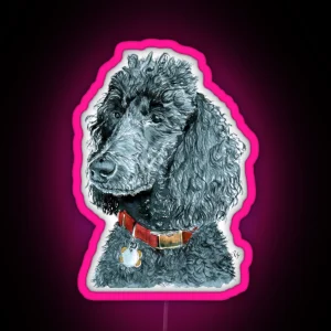 Black Poodle RGB Neon Sign