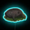 RGB neon lighted grumpy toad frog spotting home decor sign