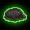 Eye-catching neon sign featuring a grumpy amphibian in vibrant colors.