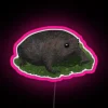 RGB LED neon sign with humorous black rain frog design