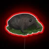 Neon RGB warning sign features a black rain frog silhouette