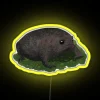 RGB Neon Sign with Colorful Frog Design for Fun Environments