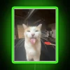 Neon RGB cat face wall decoration home bar lounge kit