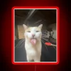 Feline Frenzy Neon Sign in Bold RGB Color Accents