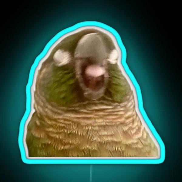 Boba Birb RGB Neon Sign