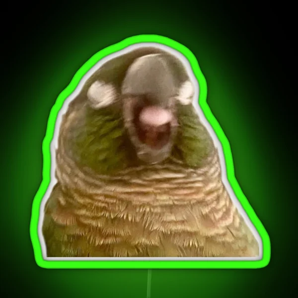 Boba Birb RGB Neon Sign