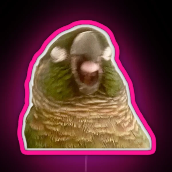 Boba Birb RGB Neon Sign