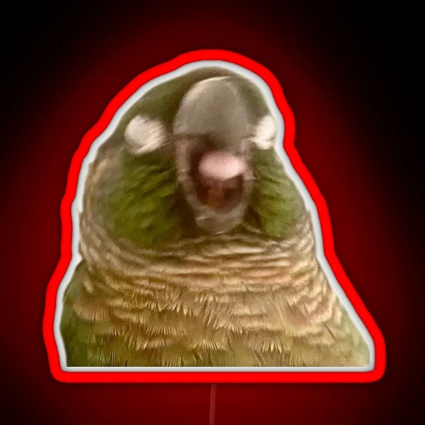 Boba Birb RGB Neon Sign