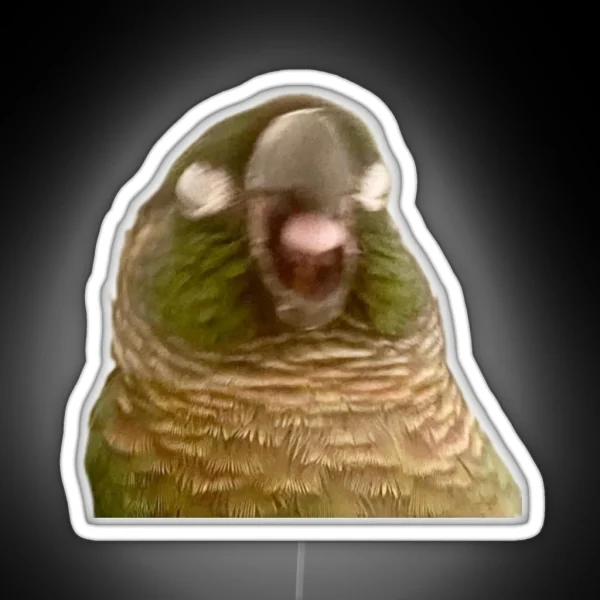 Boba Birb RGB Neon Sign