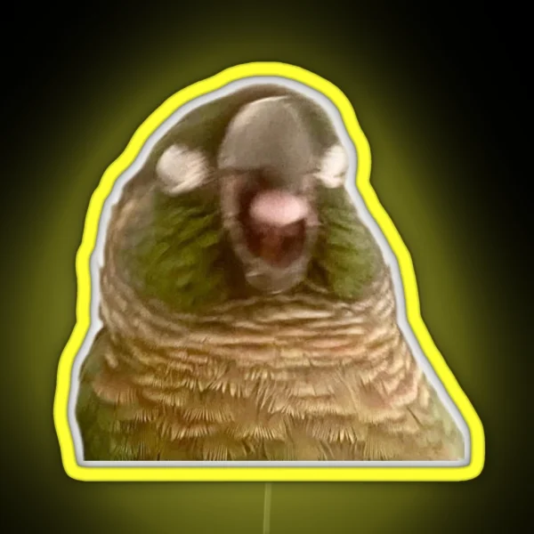 Boba Birb RGB Neon Sign