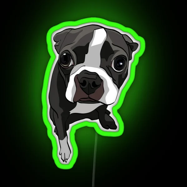 Boston Terrier Expressions RGB Neon Sign
