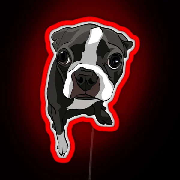 Boston Terrier Expressions RGB Neon Sign