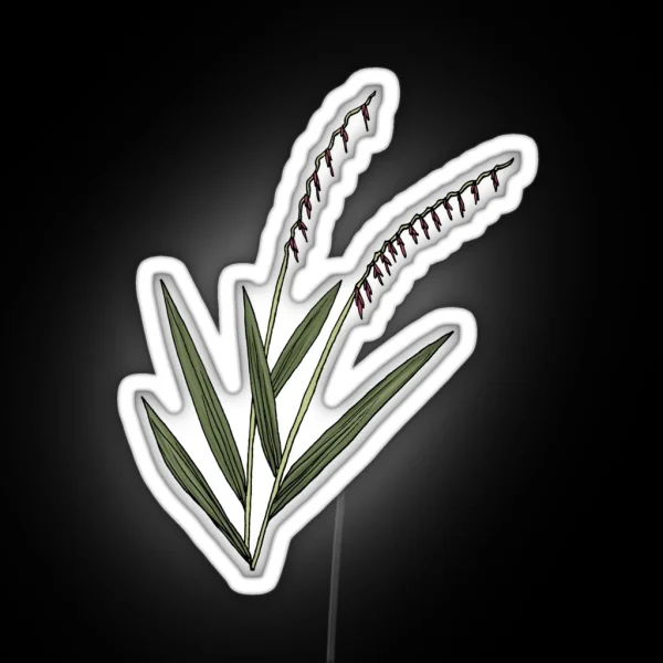Bouteloua Curtipendula Sideoats Grama RGB Neon Sign