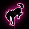 Dynamic RGB LED Sign with Customizable Colors and Messages Inside