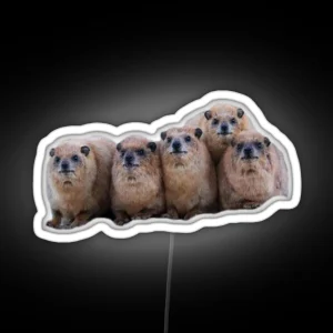 Bundle Of Rock Hyrax RGB Neon Sign