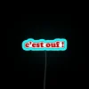 Crazy French phrase 'C'est fou' in bold RGB neon letters
