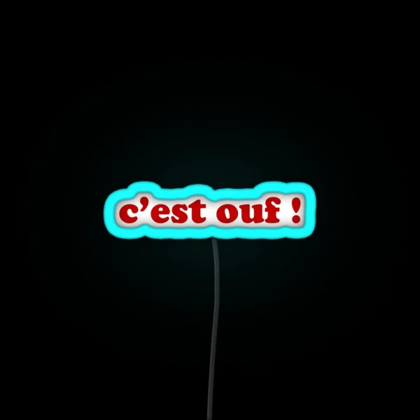 C Est Ouf It S Crazy French RGB Neon Sign