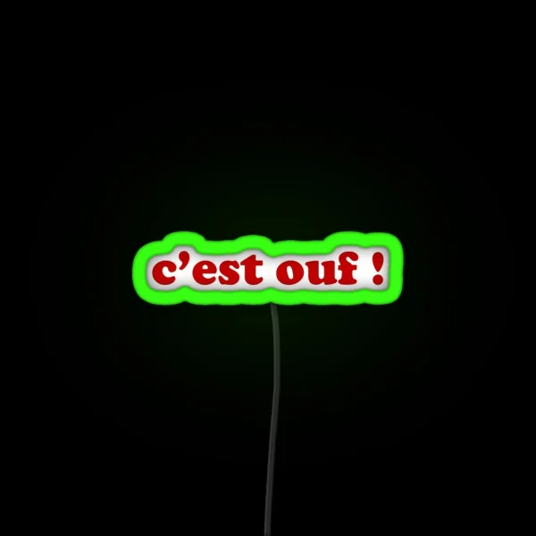 C Est Ouf It S Crazy French RGB Neon Sign
