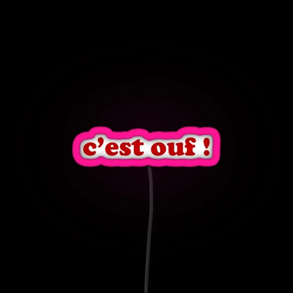 C Est Ouf It S Crazy French RGB Neon Sign