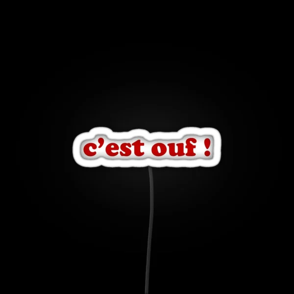C Est Ouf It S Crazy French RGB Neon Sign