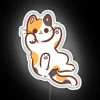 Vibrant calico cat silhouette in bold neon RGB lighting.