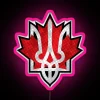 Country Pride: Vibrant Canada and Ukraine Flag Design Neon Sign
