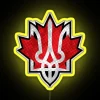 Vibrant color changing Canadian Ukrainian flag inspired RGB LED display