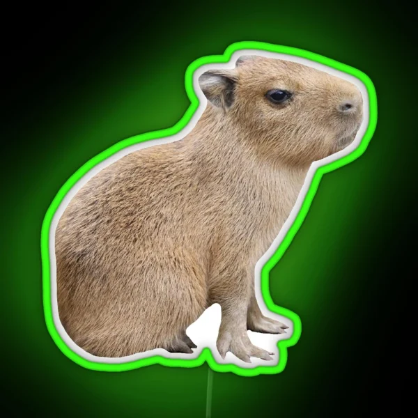 Capybara Baby RGB Neon Sign