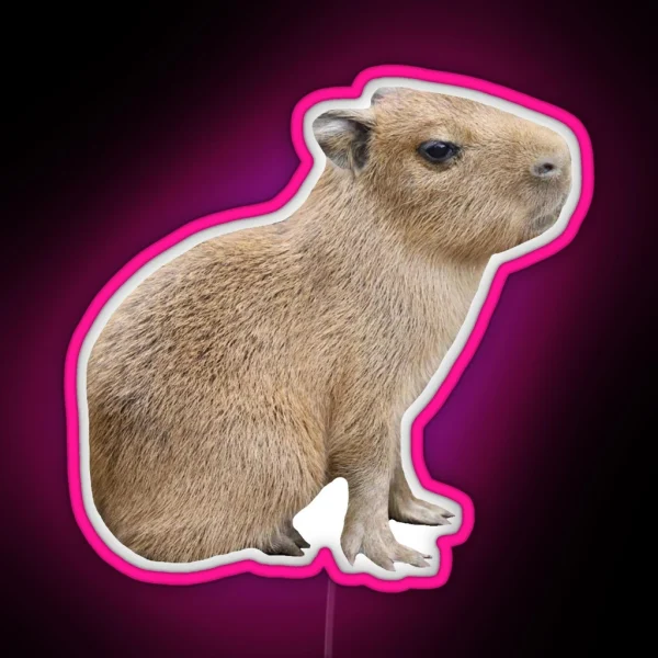 Capybara Baby RGB Neon Sign