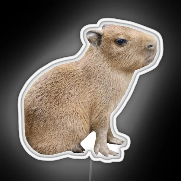 Capybara Baby RGB Neon Sign