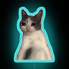 Fun distressed pet humor RGB color changing neon wall decoration.