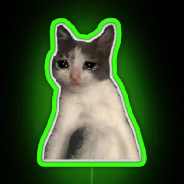 Cat Crying Meme RGB Neon Sign