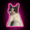 Relaxing Humor Cat Crying Meme Decor with Colorful RGB Neon Lights